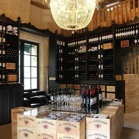Villa Chateau L'etoile *