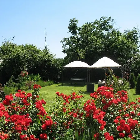 Chateau L'etoile Saint-Martin-de-Ribérac